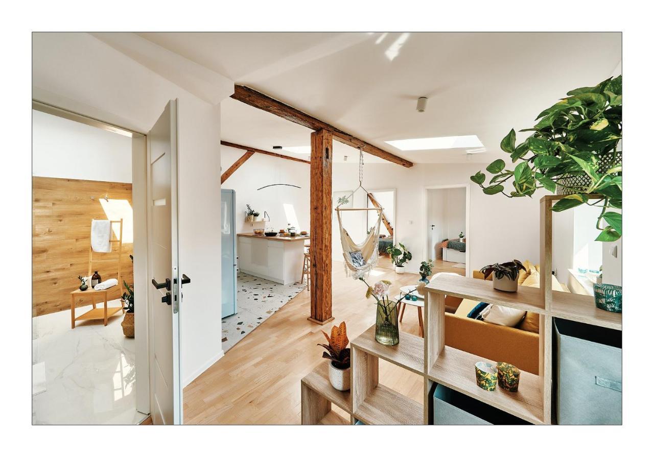 Sunny Apartment At The Heart Of Old Town 크라쿠프 외부 사진